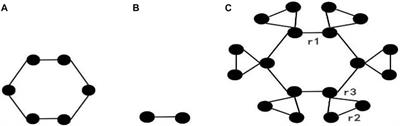 Consensus analysis of the weighted corona networks